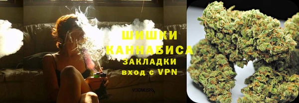 прущие грибы Ижевск
