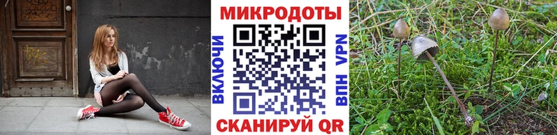 Галлюциногенные грибы MAGIC MUSHROOMS  Афипский 